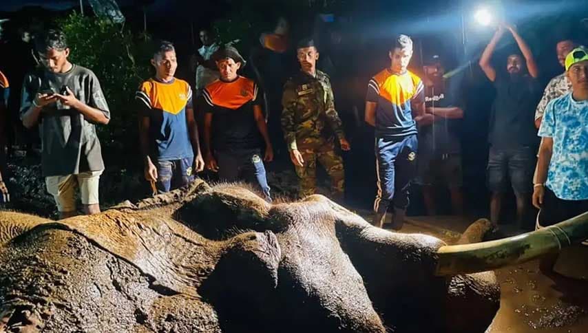 කාවන්තිස්ස ඇතාගේ මරණය: හේතුව සෙවීමට විශේෂඥ කමිටුවක්