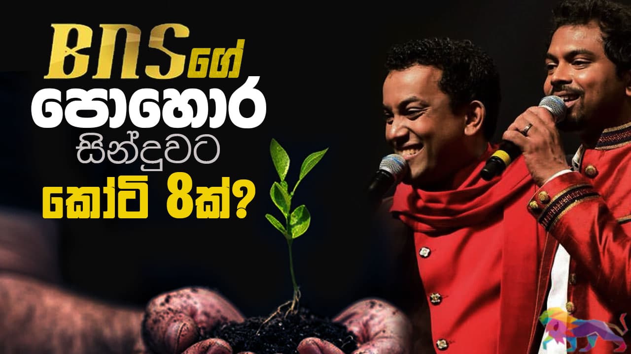 B & S ගේ පොහොර සින්දුවට කෝටි 8 ක්?