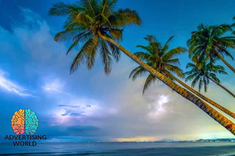 ඇඩ්වර්ටයිසිං ලෝකය (4) : පොල් ගහේ කතාව
