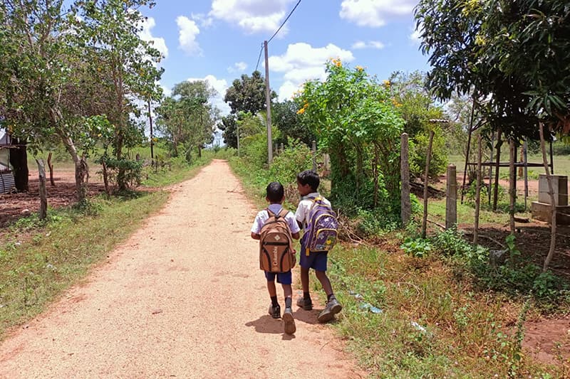 මුල් අදින්නට පොළොවක් සොයන වතුකරයෙන් පිටමංවූවෝ - (සඳරැසී සුදුසිංහ)