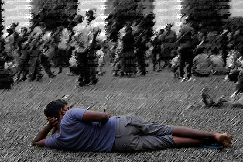 විමලෙගෙ කොලම : ජම්බු කඩ කඩා ඉන්නවා