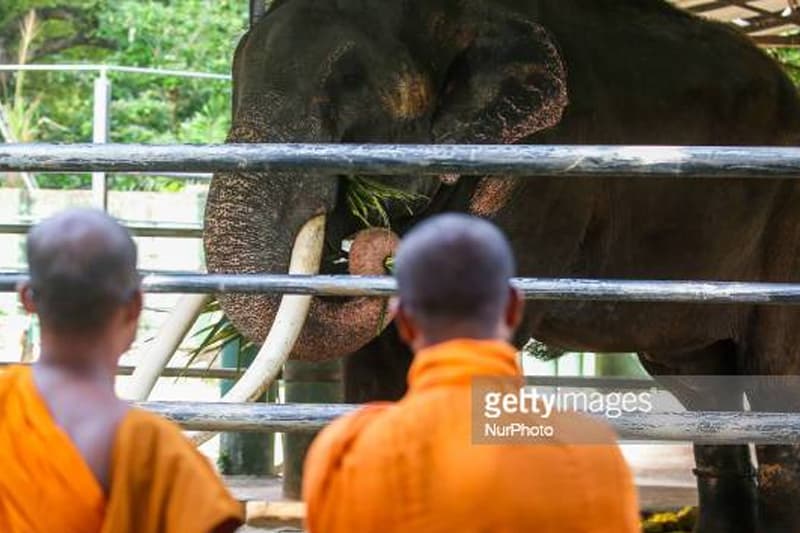 මුතුරාජා හා සාංඝික රට - (තිසරණී ගුණසේකර)