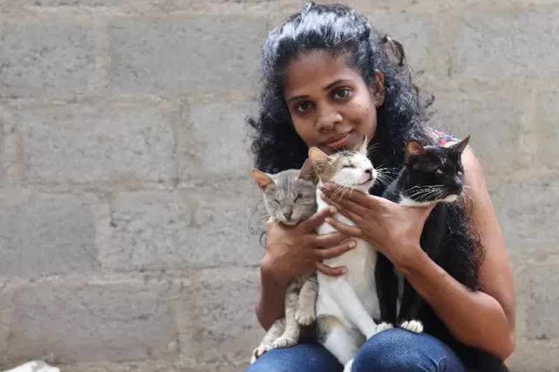 තිළිණි ගමගේ: ආබාධිත බළලුන් වෙනුවෙන් දිවියම කැපකළ තරුණිය