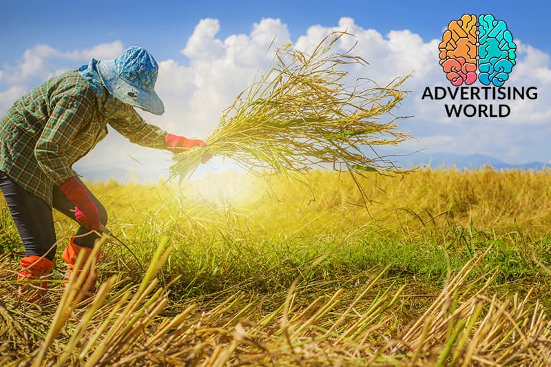 ඇඩ්වර්ටයිසිං ලෝකය (44) : පයිරිනෙක්ස් 400