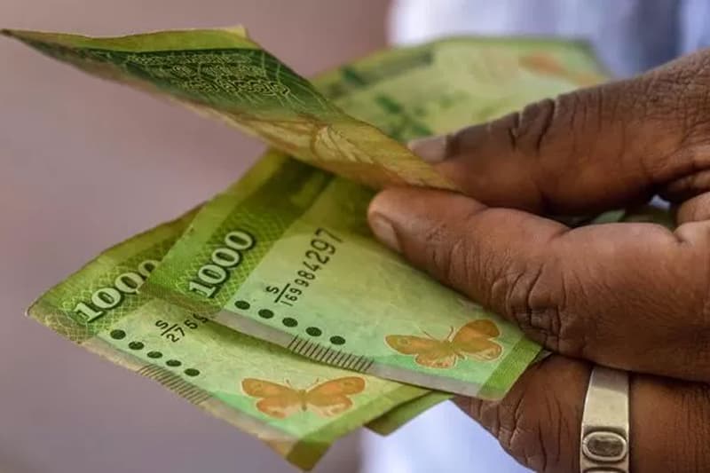 දේශීය ණය ප්රතිව්යුගතකරණය යනු කුමක් ද?