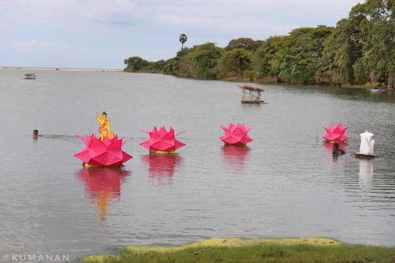 බල්සාක් කැෆේ : නන්දිකඩාල් කළපුවේ මිලිටරි නෙළුම් මල් - (මංජුල වෙඩිවර්ධන)