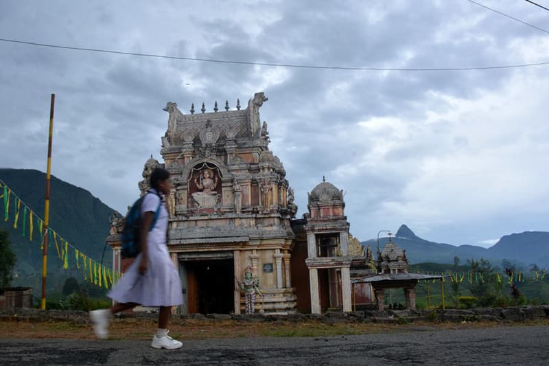 සෙසු ප්රදේශවලට වඩා දස ගුණයක් වතුකරයේ දරුවෝ පාසල් හැර යති! - (ගයාන් යද්දෙහිගේ)