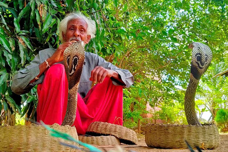 නව ලොවකට පාර සොයන නොච්චිකුලමේ තෙළිඟු වංශිකයෝ -(මංගලනාත් ලියනආරච්චි)