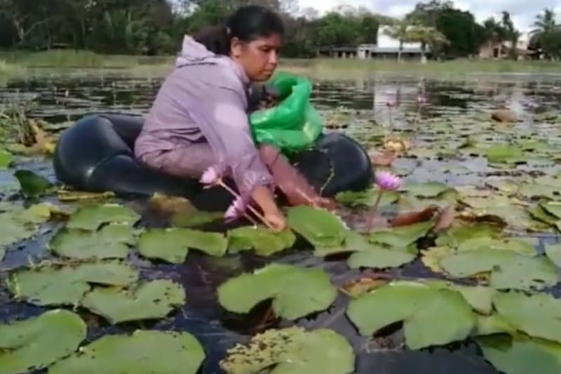 මල් මිටියක බැඳුණු මානව සබඳතා -(රාහුල් සමන්ත හෙට්ටිආරච්චි)
