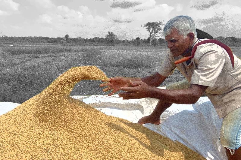 පශ්චාත්-මාක්ස්වාදය ඔස්සේ සහශ්රක සමාජවාදය දක්වා (සයවෙනි කොටස) : සුමිත් චාමින්ද