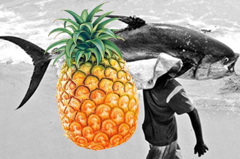 අන්නාසි හා කෙලවල්ලෝ - (ආචාර්ය උදන් ප්රනාන්දු)