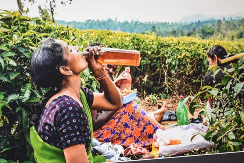 නොරට සිට ආ මුතුන් මිත්තෝ (15) : "සාරායන් ටිකක් නොගහ මේකි එක්ක දීග කෑම නම් බොරු" (ඉන්දු පෙරේරා)