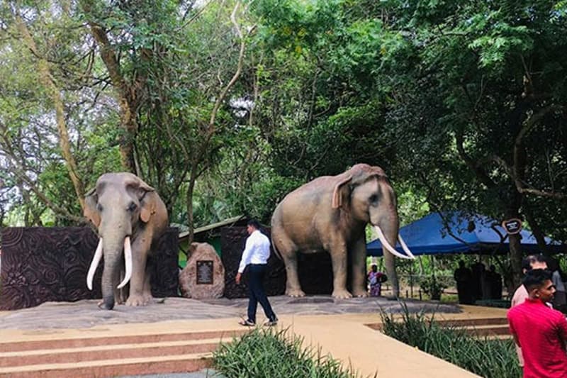 සත්ව හිමිකම් අතින් වන්නි හත්පත්තුවේ පැරණි ගැමියන් නූතන සමාජයටත් ඉදිරියෙන්