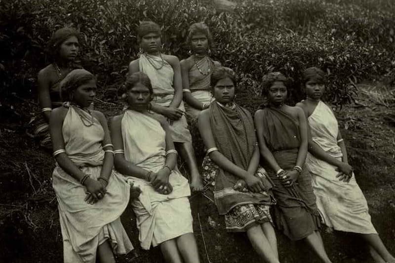 නොරට සිට ආ මුතුන්මිත්තෝ : ලංකාවට කම්කරුවන් සොයා ඉන්දියාවේ පෝස්ටර් (ඉන්දු පෙරේරා)