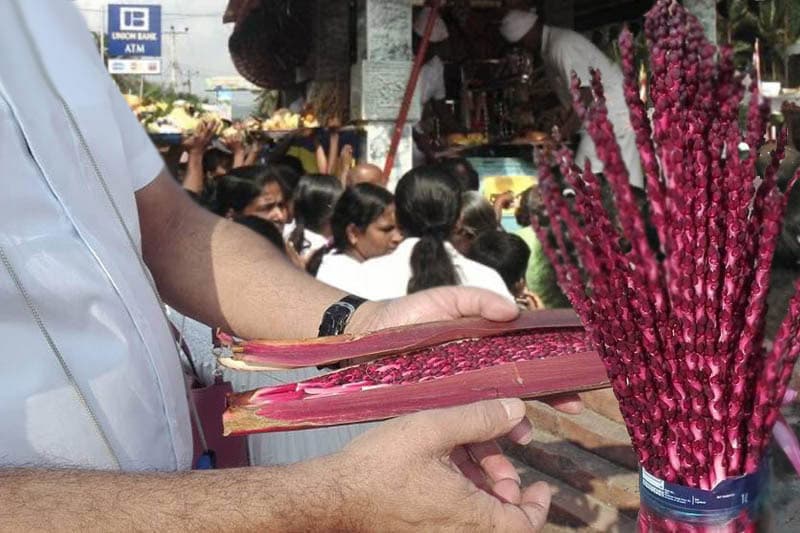 සිරි පා සමයේ හිස ඔසවන රත් දෝතළු මල් ජාවාරම මෙවරත්? - (රේණුකා දමයන්ති)