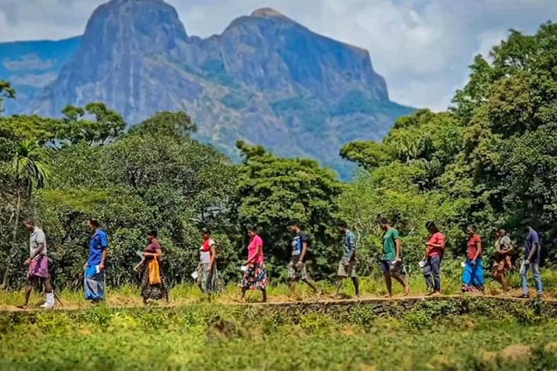 ගලමුදුන: කඳු, පල්ලම් තරණය කරමින් ඡන්ද පොළට ගිය ගම්මුන් (වීඩියෝ)