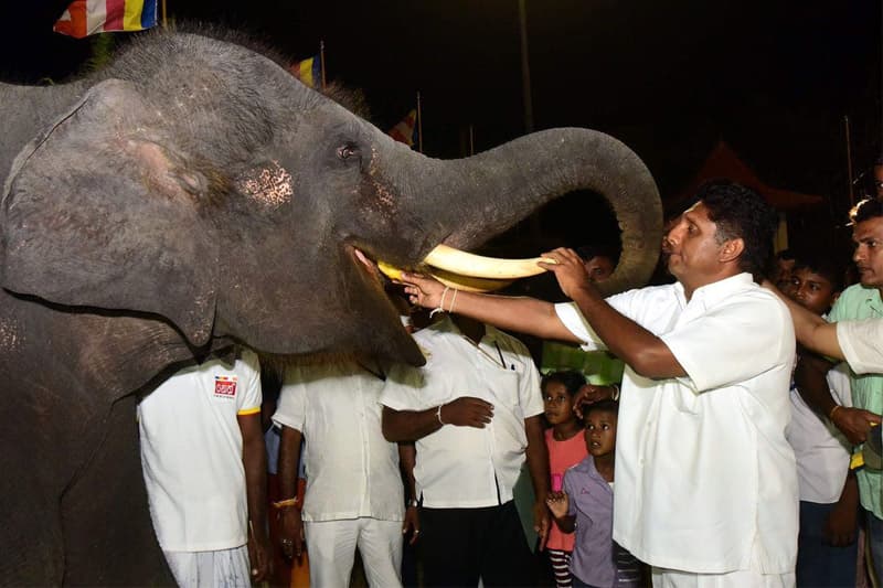 කතාවට පමණක් සීමා නොකළ යුතු සජිත් ගේ හරිත දේශපාලන දැක්ම | රේණුකා දමයන්ති