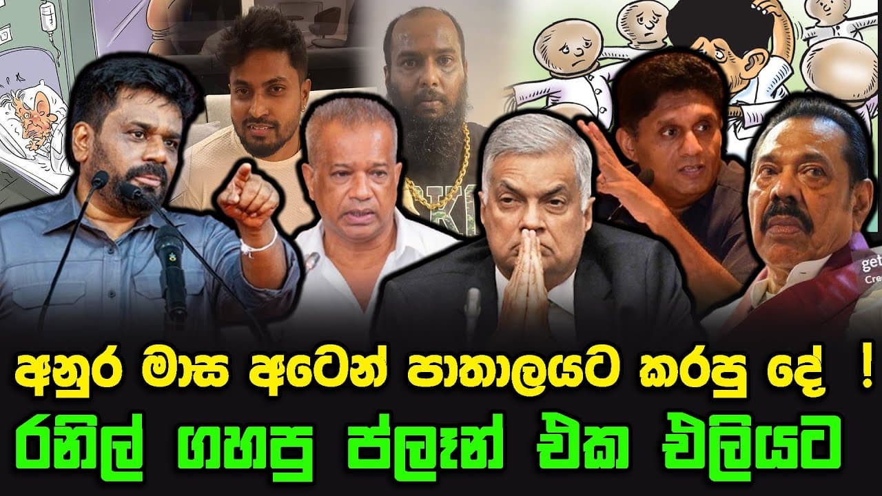 අනුර මාස අටෙන් පාතාලයට කරපු දේ ! | රනිල් ගහපු ප්ලෑන් එක එලියට