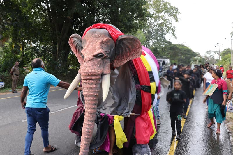 සම්මුති විසම්මුති ; අලි නොවන අලි ප්රශ්ණය සහ අලි නැති අලි පා ගමන | සුනන්ද දේශප්රිය