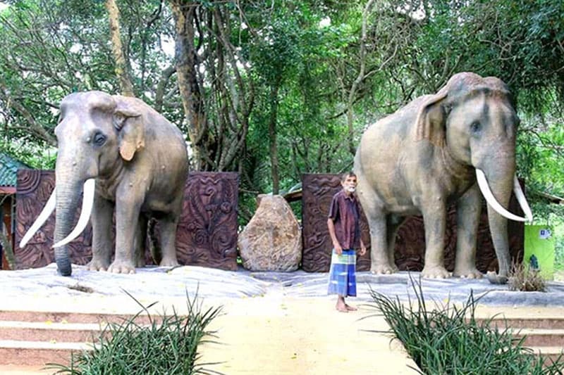 ගල්ගමු අලි ඇතුන්ට වැඩි අගැයුමක්!
