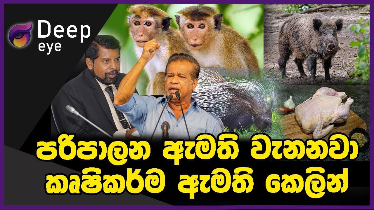 පරිපාලන ඇමති වනනවා කෘෂිකර්ම ඇමති කෙලින් | DEEP EYE | The Leader TV