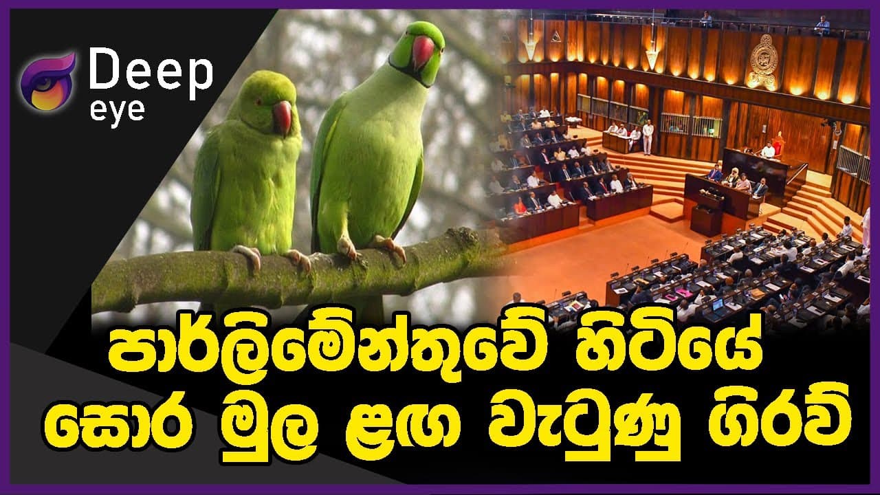 පාර්ලිමේන්තුවේ හිටියේ සොර මුල ළඟ වැටුණු ගිරව් | DEEP EYE | The Leader TV