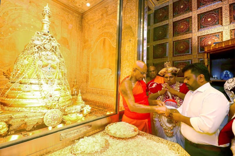 ස්තුතියි ජනාධිපතිතුමනි | ගෝඨාභය හිටපු ජනාධිපතිගේ උපදේශක