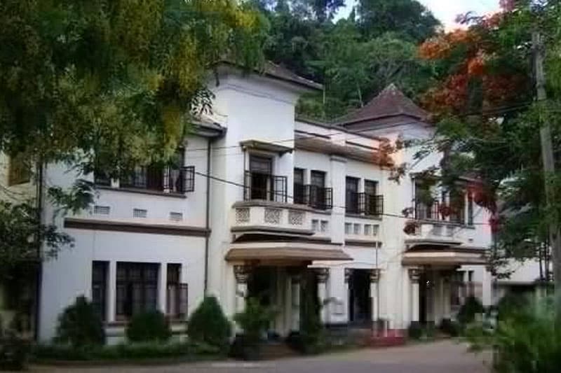 'මිටි සහල්' ගැන උස කතාවක්