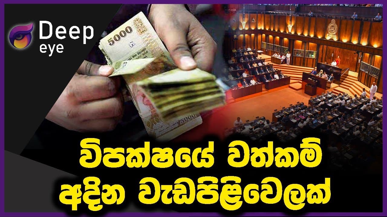 විපක්ෂයේ වත්කම් අදින වැඩපිළිවෙලක්