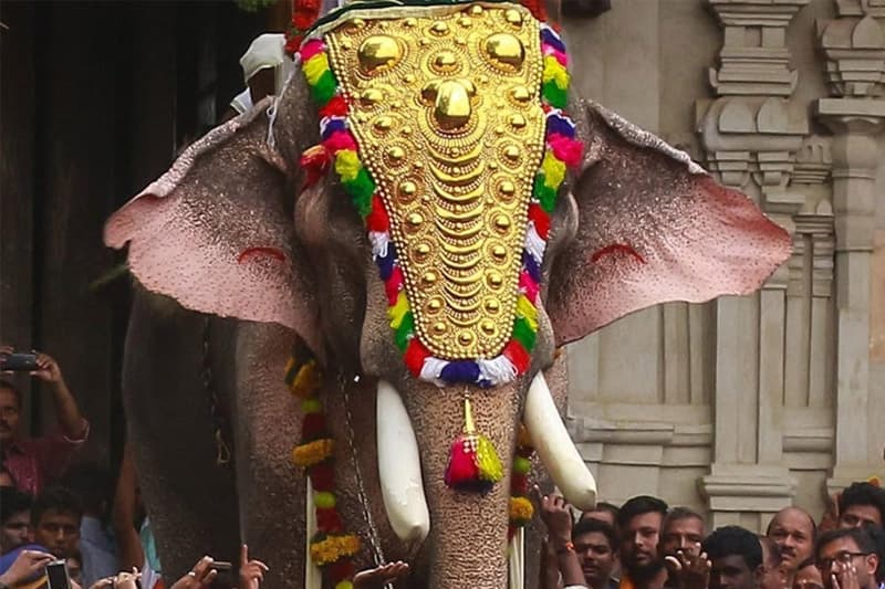 අලි ඇතුන් යනු හින්දු දහමේ උත්තරීතර සංකේතයකි | ආචාර්ය කේ. අරුලානන්දන්