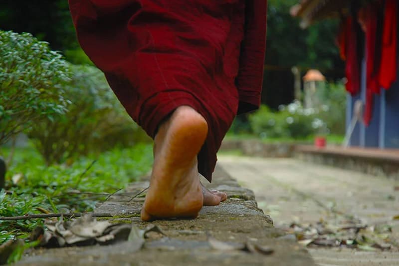 එක් භික්ෂුවකගේ වරදට සමස්ත සංඝ සමාජයම වගකිව යුතුද? ධර්ම විනයානුකූල විමසුමක් | කදුරුපොකුණේ සුමංගල හිමි