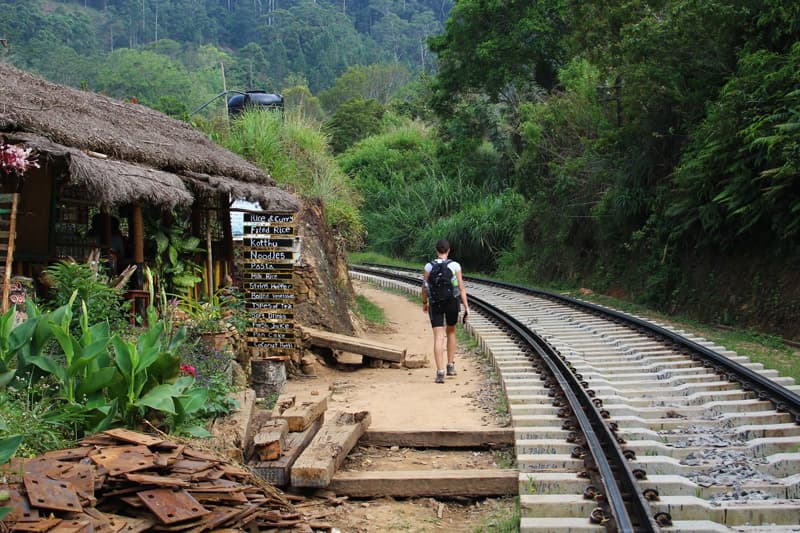 පිකෝ ට්රේල් අර්බුදයේ ඇතුළාන්තය: ජාත්යන්තර සම්පතක් රැකගැනීමට ජනාධිපති ප්රඥප්තියක් ඉල්ලයි