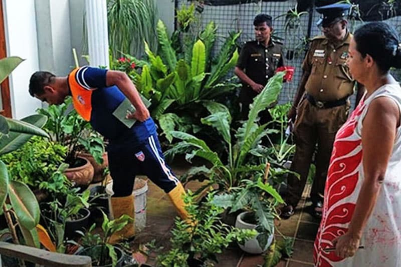 'වරෙන්තුවක් නැතිව ඇතුළු වෙන්න බෑ!' - ඩෙංගු මර්දනය නීති උගුලක හිරවෙද්දී රෝගීන් 60,000 සීමාවට!