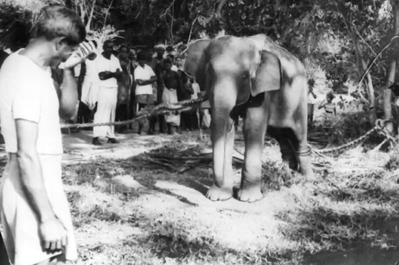 පනාමුරේ කතාව (01 කොටස) : ඇත්ගාල ඉදිවූ පනාමුරේ නින්දගම | ඉන්දු පෙරේරා