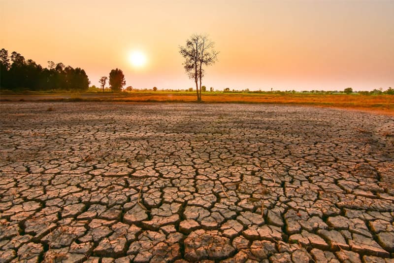 එල් නිනෝ (El Niño) යක්ෂයා ලංකාව දෙසට: බඩගින්නයි පිපාසයයි රැකගන්න ආණ්ඩුවෙන් ‘හදිසි යුද සැලසුමක්’!