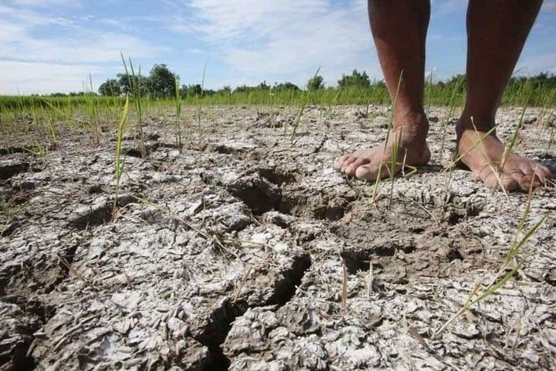 එල් නිනෝ සක්රීය වෙයි : අවදානම ශ්රී ලංකාවට බලපාන්නේ කෙසේද?