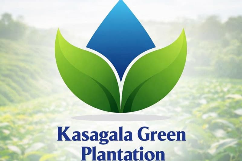 මහ බැංකු නියාමනය මැදින් කසගල වැවිලි සමාගමට පරීක්ෂණයක්: සත්යය කුමක්ද?