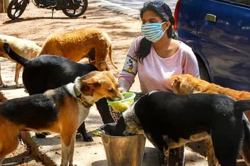 තුම්පනෙන් යළි එළිදකින සංඝරාජ හාමුදුරුවන්ගේ බලු කපුටු දානය | ආචාර්ය ප්රණීත් අභයසුන්දර