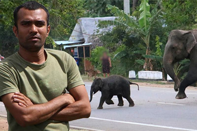 දහනක බණ්ඩාර දෙවියන් මෙන් ගල්ගමු අලි ඇතුනට ඇල්ම බැල්ම පාන අපූරු මිනිසා 'අලි බණ්ඩාර'