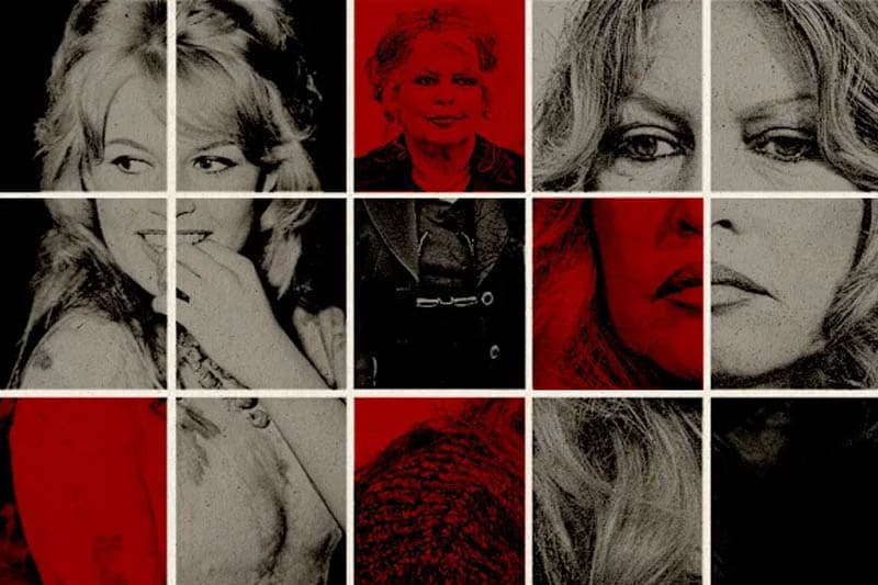 Brigitte Bardot; සුනඛ ප්රේමය පිටුපස වෛරයේ හැඩතල