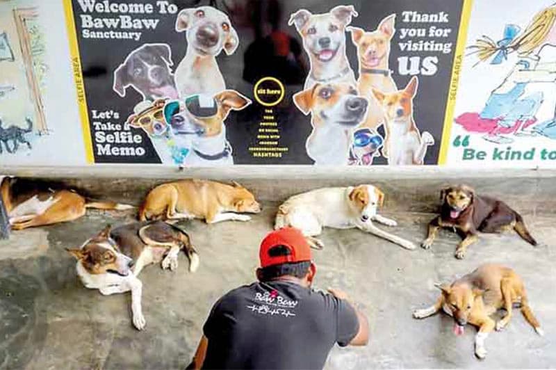 කුරුණෑගල 'බව් බව්' රෝහල