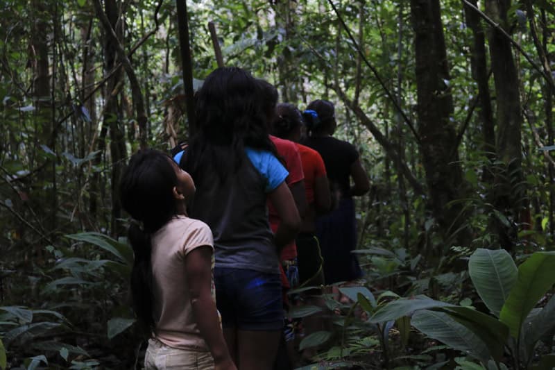 වනාන්තර සංරක්ෂණය ශ්රී ලංකාවට වැදගත් වන්නේ මන්දැයි වටහා ගැනීම | ලයනල් බෝපගේ