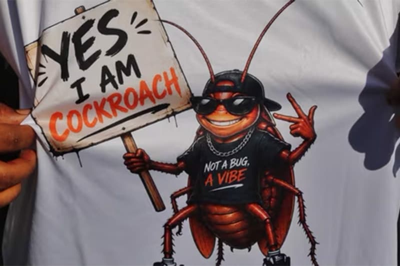 ඩිජිටල් උපහාසයෙන් උපන් ‘කැරපොතු බලවේගය’ දිල්ලි වීදි හොල්ලයි