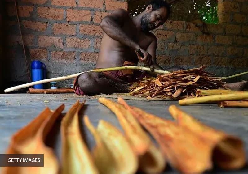 වසර 200කට පසුව ලෝකයට ගිය 'සිලෝන් සිනමන්' අනන්යතාවය