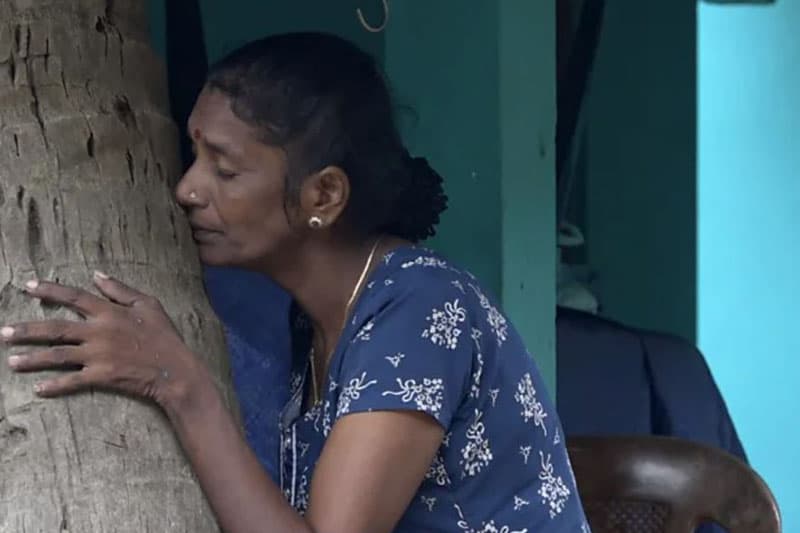 'මේ පොල් ගහ මගේ දුව කියලා හිතලා තමයි මම ඉන්නේ'