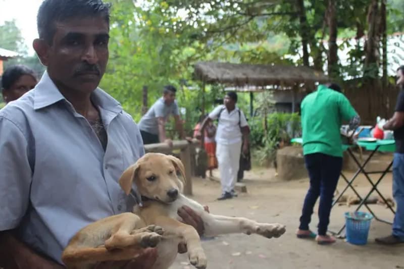 වීදි සුනඛ ගැටළුව හමුවේ ආණ්ඩුව 'වලිගය පාගාගෙන බලු නොවිය' යුතුය | නිරංජන් කරුණාතිලක