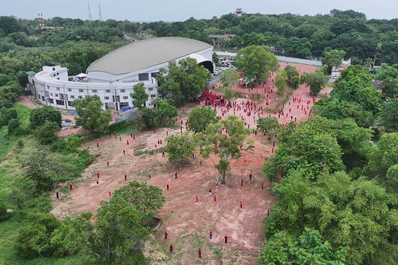 ජෙරෝම්ගේ ඇඳන් 1500 ව්යාපෘතිය: ඇත්ත කතාව මෙන්න