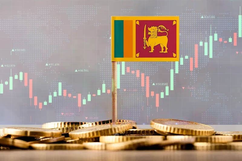 රට ගොඩනැඟීමට ගතයුතු ආර්ථික මඟ | මහාචාර්ය ප්රියංග දුනුසිංහ