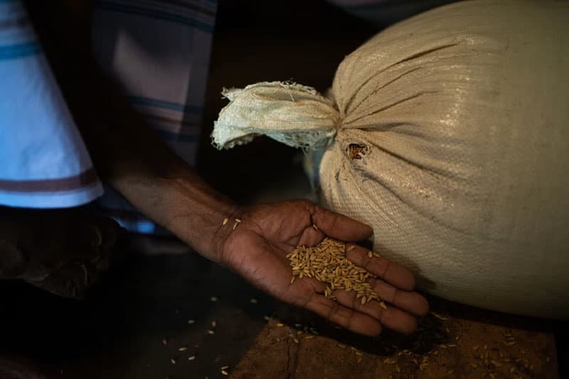 ගොවියා බේරන්න බියර් සහ අරක්කු පෙරීමට සහල් දෙන්න ආණ්ඩුවෙන් තීරණයක්! - ගැසට්ටුව අහෝසි වෙද්දී වාසිය මත්පැන් සමාගම්වලටද?
