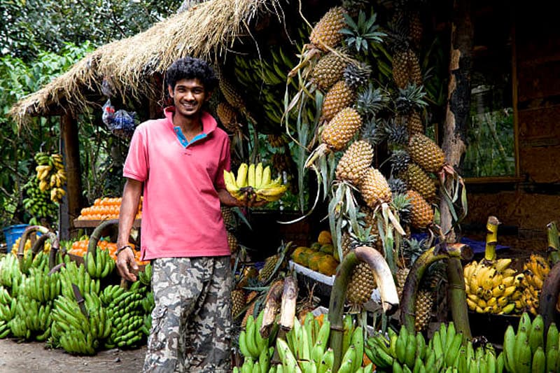 පලතුරු ඔය කියන තරම් ගණන් ද?